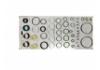 Dichtungssatz, Hydraulikpumpe Steering Gasket Set:210 460 01 61